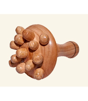 Champiñón Corporal Grande 14 Puntas