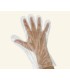 Guantes Polietileno ( 100 und)